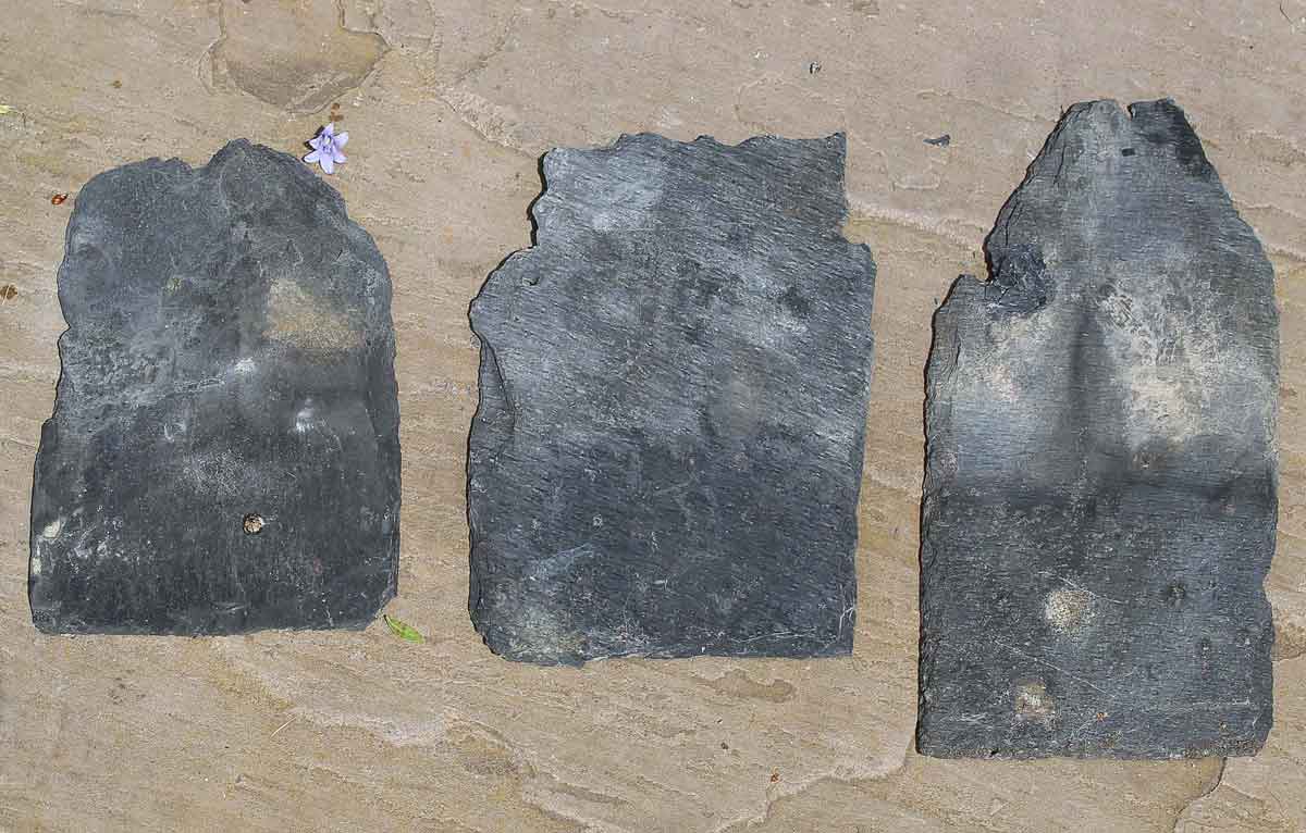 Inspecting broken slates in the Highlands MAAC Studio conservation architects